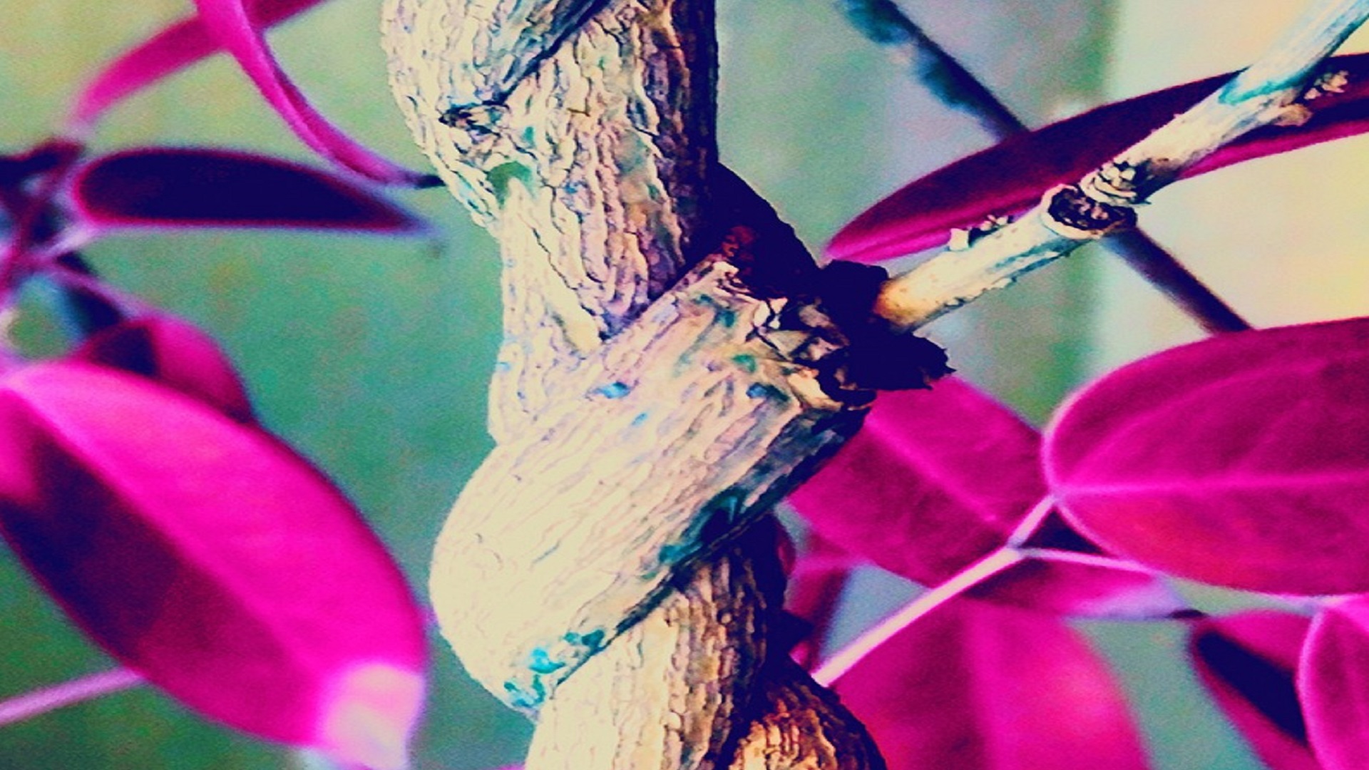 Η ρίζα της εγγύτητας